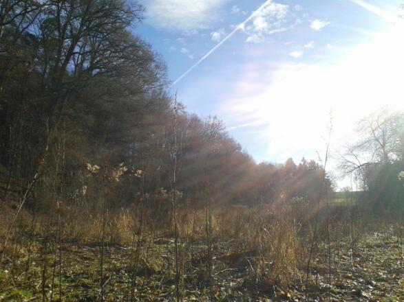 Eine versteckte Wiese südlich der Naturfreundehütte