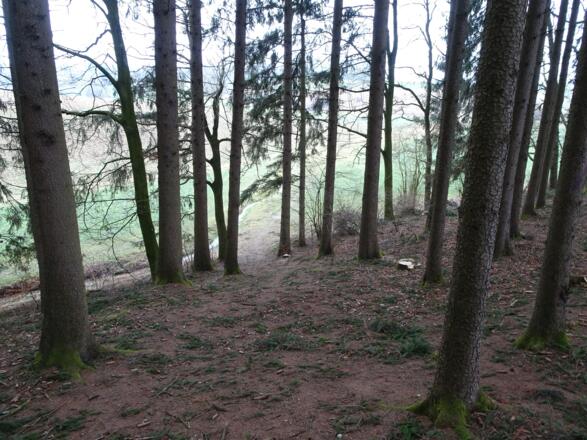 Steile Abfahrt Richtung Salzdorf