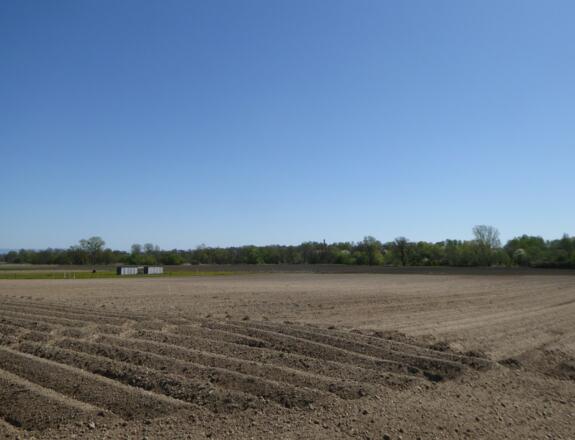 das weite Tal der Kleinen Laber