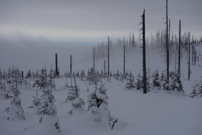 Mystischer Blick aufs Steinerne Meer