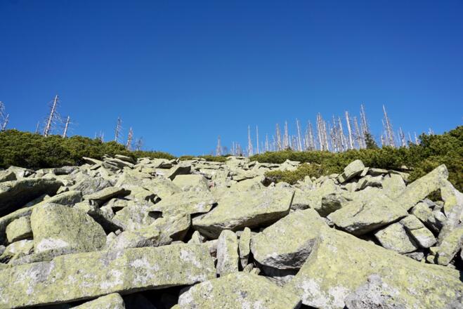 Im Steinernen Meer beim Rückweg