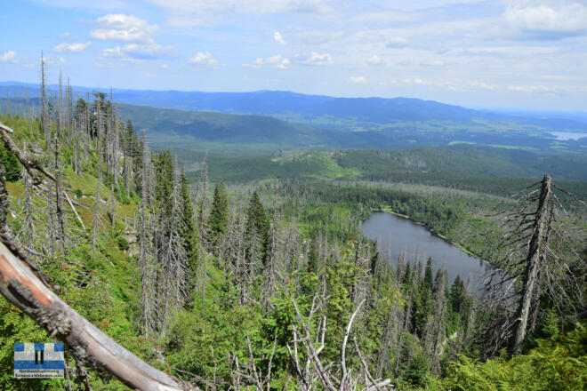 Blick vom Stifterobelisk zum Plöckensteinersee