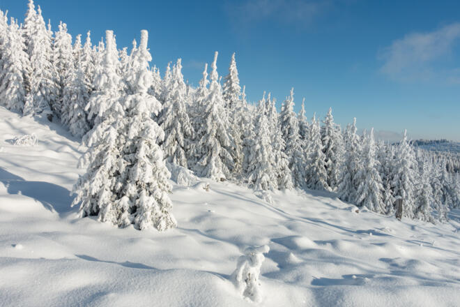 zauberhafte Winterlandschaft knapp unterhalb des Dreieckmark