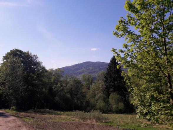 Blick zum Vogelsang nach Grafling