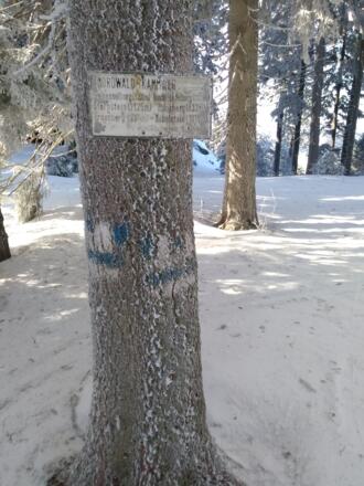 Hochficht, Nordwaldkammweg Nähe Stinglfelsen