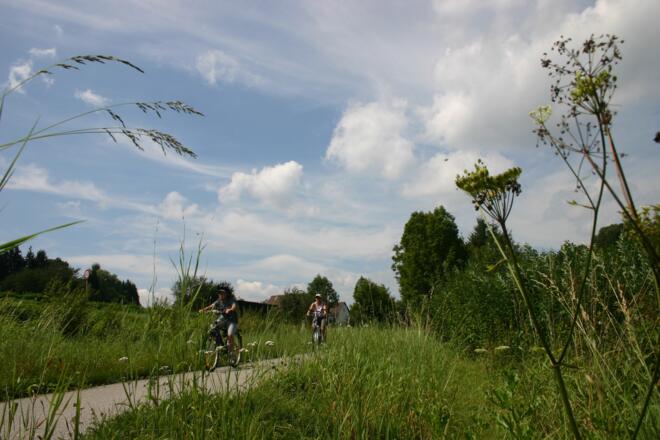 Auf Bockerlbahnradweg bei Wildthurn.