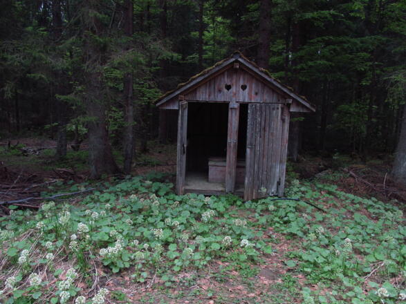 WC bei Zollhütte Holzschlag