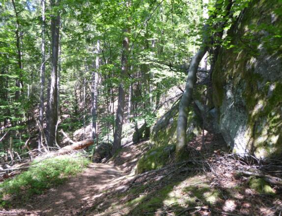 Wilde Pfade durch die Täler