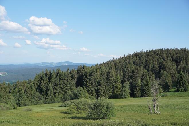 Ausblick von der Terrasse des Landshuter Hauses
