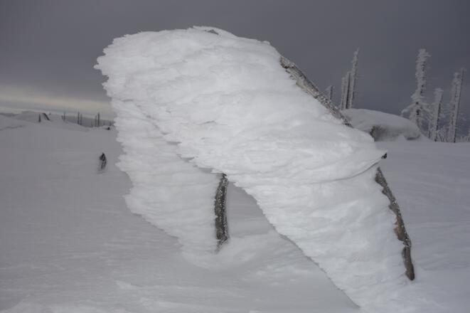 Bizarre Schneegebilde auf einem kleinen Zweig