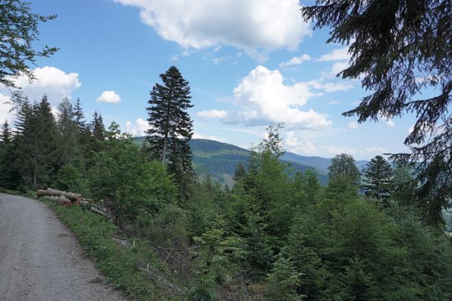 Blick zum Vogelsang vor Kalteck