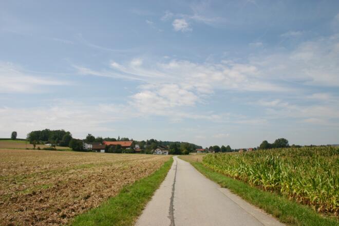 Der Radweg bei Prunn.