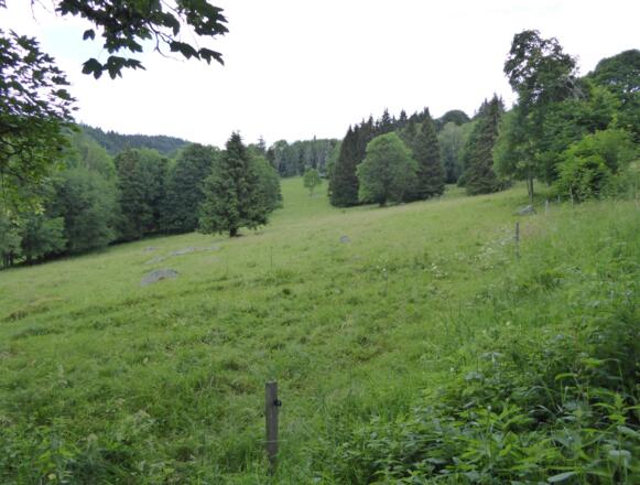 Landschaft bei České Žleby