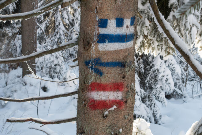 Der letzte Teil des Rückwegs folgt dem Nordwaldkammweg mit seiner typischen Markierung