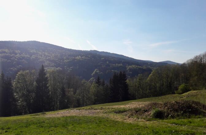 Blick vor Engelburgsried zum Vogelsang