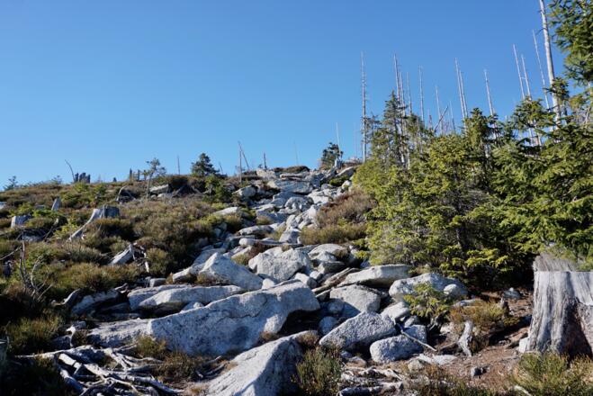 Anstieg zum Plöckenstein nach dem Waldgürtel