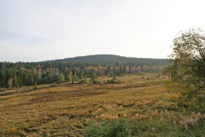 Hochmoor auf der Oberbreitenau