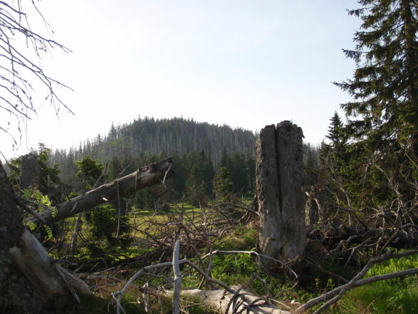 Übergang Gr. Rachel