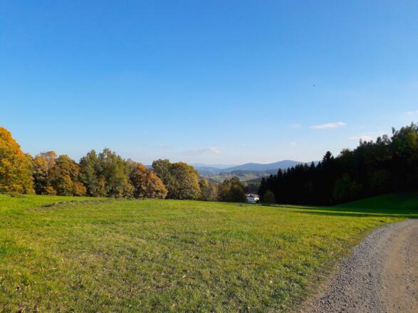 Blick zum Einödriegel vor Rammersdorf