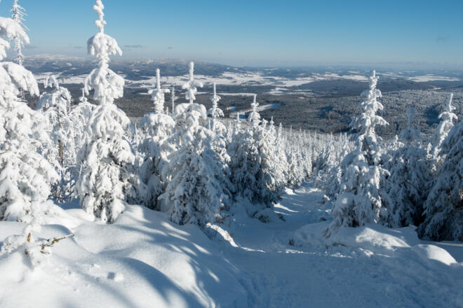 Blick vom Grenzweg zurück in Richtung Moldaustausee