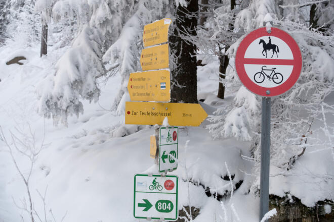 Abzweigung auf die Forststraße mit der Beschilderung Radroute 804