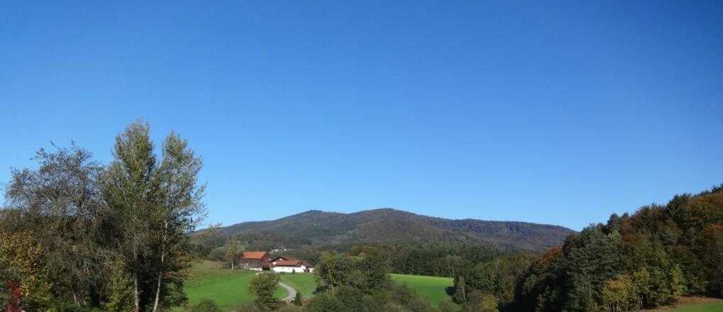 Blick auf Manzenreuth