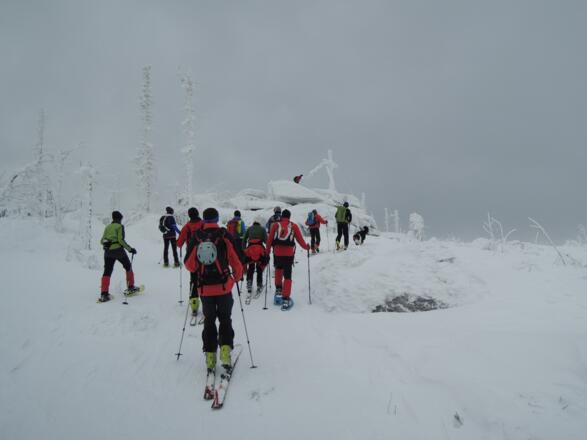 Das Rudel aus Skitourengeher und Schneeschuhwanderer erreicht den Plöckenstein
