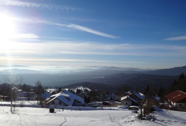 Blick über Waldhäuser