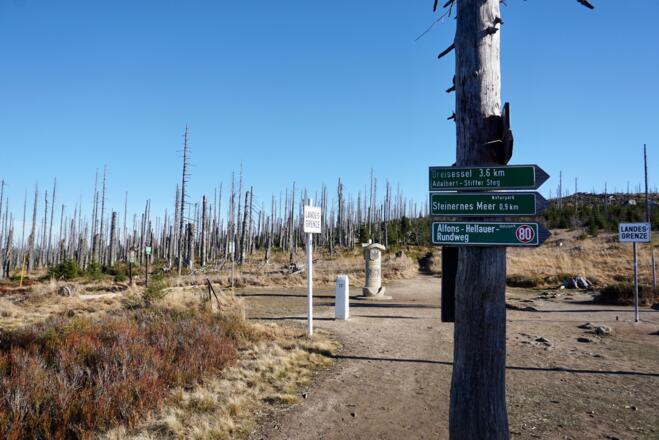 Am Dreieckmark (1321 m)