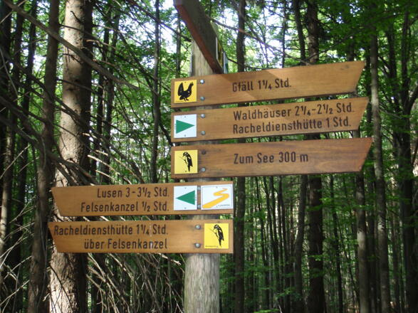 zum See bzw. Abstiegsweg Gfäll (950m)