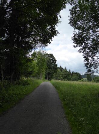Aufstieg nach České Žleby