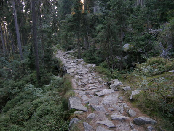 Der Pflasterweg vom Dreiländereck ist eine historische Handelsstraße.