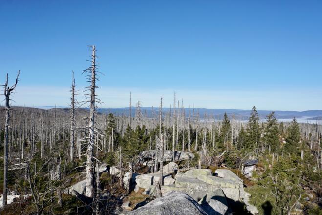 Blick in den Böhmerwald