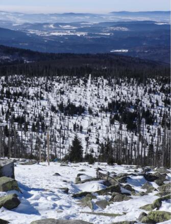 Himmelsleiter am Lusen