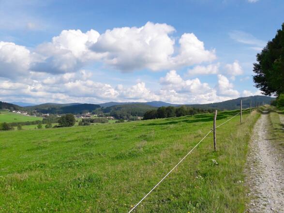 Vor Lindenau mit Blick zu Rachel und Einödriegel