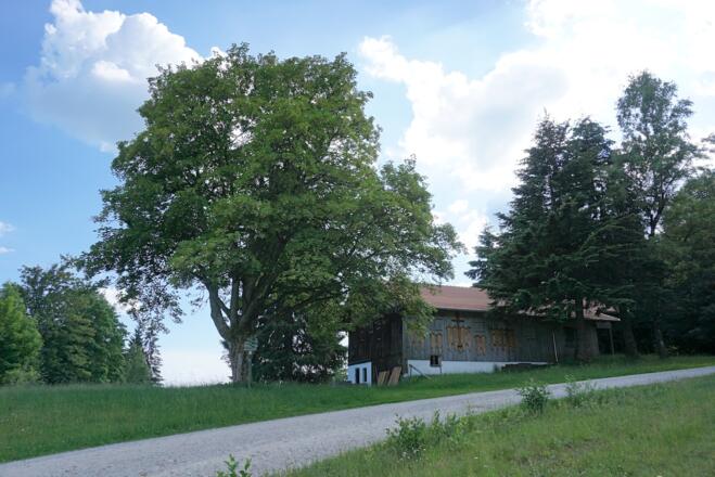 Beim Forsthaus Vogelsang