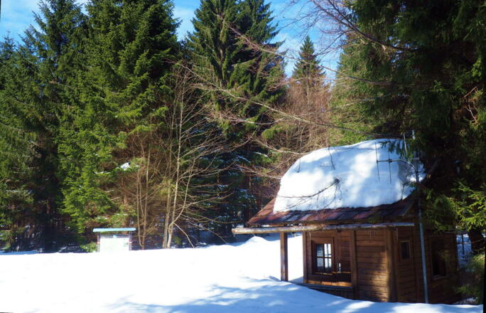 Zollhütte um 1005m, Grenze