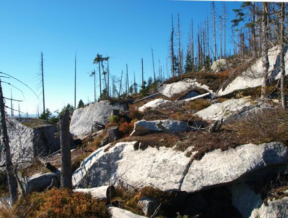 Steinernes Meer unterhalb 3-Ländereck