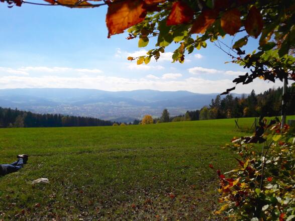 Blick vom Kronberg nach Viechtach