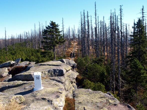 Gipfelfelsen vom Bayr. Plöckenstein 1365m