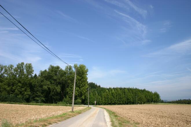 Auf der Höhe bei Wildeneck.