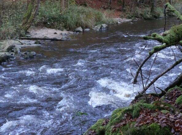 Dießensteiner Leite