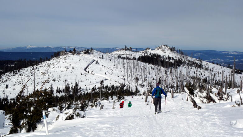 Blick vom Hochkamm 1342m zum Dreisesselfelsen und Hochstein