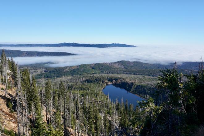 Blick zum Plöckensteinsee im Abstieg zum See