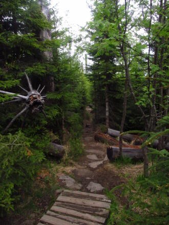 Steiler Zustieg zum Stifterobelisk vom Plöckensteinersee