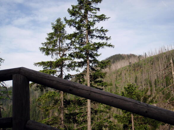 Blick von Kapelle zum Gr.Rachel