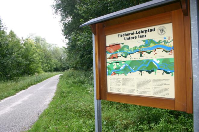 Nördlich von Landau: der Fischerei-Lehrpfad.