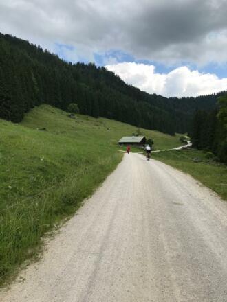 Forststrasse zur Alm