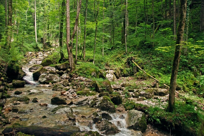 In der Gerner Klamm