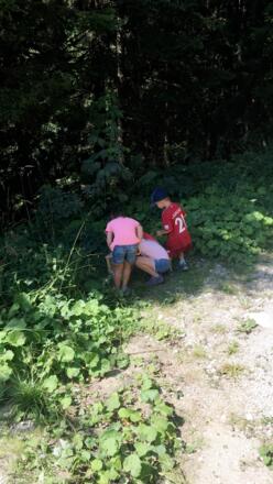 Aufgaben vom Wichtel 